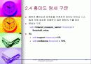 데이타 마이닝 24페이지