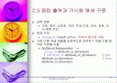 데이타 마이닝 25페이지