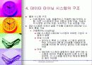 데이타 마이닝 30페이지