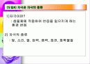 눈의 구조 5페이지