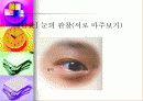 눈의 구조 7페이지