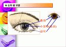 눈의 구조 8페이지