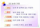 눈의 구조 10페이지