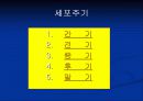 사람의 생식기관 8페이지