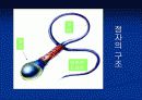 사람의 생식기관 10페이지