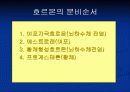 사람의 생식기관 13페이지
