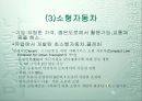 도시교통문제.. 26페이지