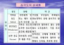 품행장애 14페이지