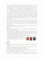 [사회과학] 한국의 전통놀이  11페이지