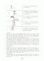[사회과학] 한국의 전통놀이  36페이지