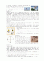 [사회과학] 한국의 전통놀이  41페이지