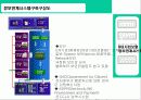 사회복지-4대 사회보험 연계시스템 9페이지