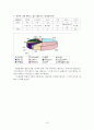 레포츠에 관한 연구조사 10페이지
