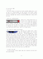 레포츠에 관한 연구조사 41페이지