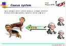  미국 대통령 선거과정의 개요 10페이지