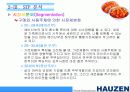 하우젠 김치냉장고 프리젠테이션 12페이지