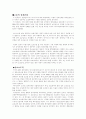 하이닉스에대한 상계관세와 대비책 2페이지