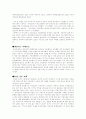 하이닉스에대한 상계관세와 대비책 3페이지
