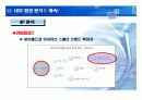 싸이월드와 아이러브스쿨의 성공과 실패에 대한 브랜드마케팅적 분석 12페이지