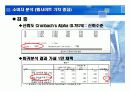 싸이월드와 아이러브스쿨의 성공과 실패에 대한 브랜드마케팅적 분석 33페이지