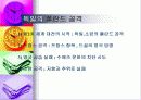  제2차 세계 대전과 전후의 세계 7페이지
