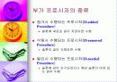 지식의 표현 22페이지