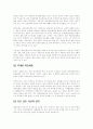 중국의 외국기업 진출 환경 분석 30페이지