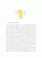 [과학자의 삶과 법칙] 러더퍼드  Ernest Rutherford  : 1871 - 1937 4페이지