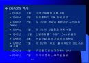 EU(European Union)유럽연합 12페이지