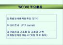 CCC (WCO) 13페이지