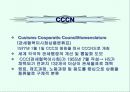 CCC (WCO) 16페이지