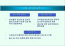 CCC (WCO) 20페이지