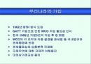 CCC (WCO) 21페이지