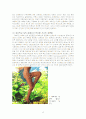 성과 문화적 재현 - 사이버 성문화 11페이지