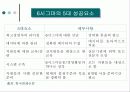 6시그마 성공/실패사례 5페이지