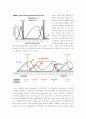 estrous cycle 발정주기 4페이지