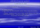 금융제도(financial system)에 대한 이해와 금융기관 및 금융시장에 대한 분석 7페이지
