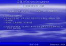 금융제도(financial system)에 대한 이해와 금융기관 및 금융시장에 대한 분석 10페이지