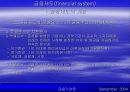 금융제도(financial system)에 대한 이해와 금융기관 및 금융시장에 대한 분석 11페이지