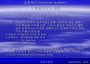 금융제도(financial system)에 대한 이해와 금융기관 및 금융시장에 대한 분석 13페이지
