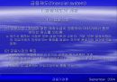 금융제도(financial system)에 대한 이해와 금융기관 및 금융시장에 대한 분석 14페이지
