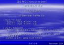 금융제도(financial system)에 대한 이해와 금융기관 및 금융시장에 대한 분석 15페이지