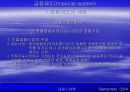 금융제도(financial system)에 대한 이해와 금융기관 및 금융시장에 대한 분석 24페이지