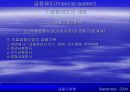 금융제도(financial system)에 대한 이해와 금융기관 및 금융시장에 대한 분석 28페이지