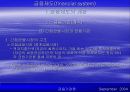금융제도(financial system)에 대한 이해와 금융기관 및 금융시장에 대한 분석 29페이지
