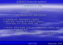 금융제도(financial system)에 대한 이해와 금융기관 및 금융시장에 대한 분석 31페이지