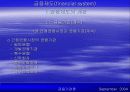 금융제도(financial system)에 대한 이해와 금융기관 및 금융시장에 대한 분석 34페이지