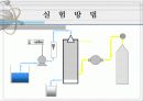 Absorption (흡수) 13페이지