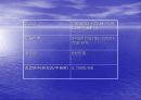 대우 사례로 본 글로벌 기업 11페이지