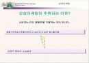 스타벅스마케팅 5페이지
